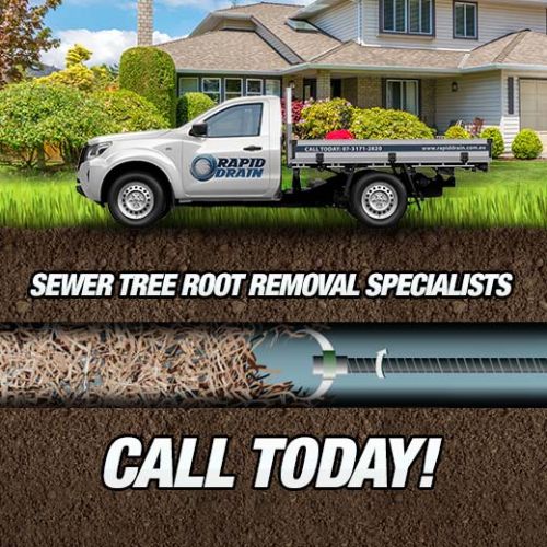 Sewer Tree Root Removal Specialists In Goodna